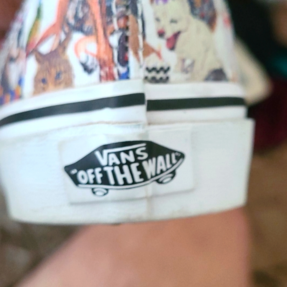 Vans
